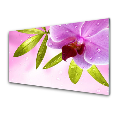 Kuchyňský skleněný panel Květ Listy Rostlina