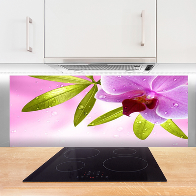 Kuchyňský skleněný panel Květ Listy Rostlina