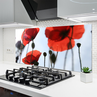 Kuchyňský skleněný panel Máky Rostlina