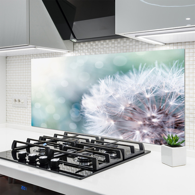 Kuchyňský skleněný panel Pampeliška Rostlina