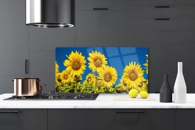 Kuchyňský skleněný panel Slunečníce Rostlina