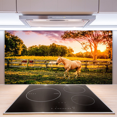 Kuchyňský skleněný panel Kůň Louka Zvířata