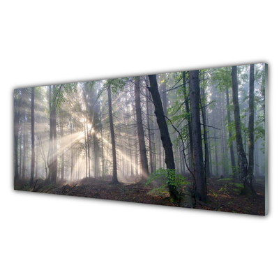 Kuchyňský skleněný panel Les Příroda