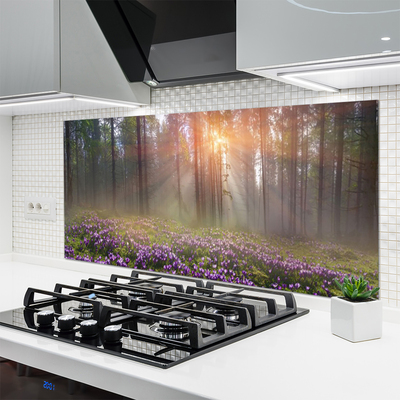 Kuchyňský skleněný panel Les Květiny Rostlina Příroda