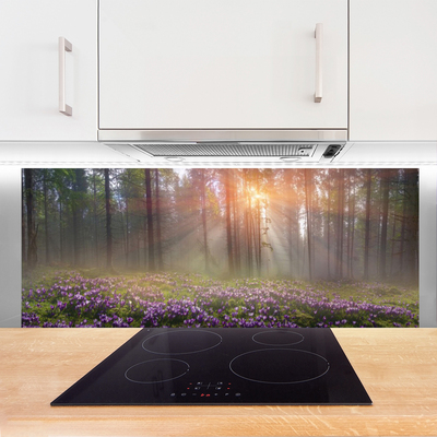 Kuchyňský skleněný panel Les Květiny Rostlina Příroda