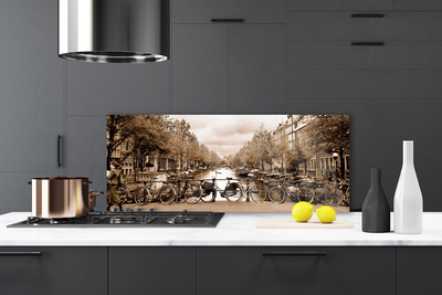 Kuchyňský skleněný panel Řeka Kolo Stromy Krajina