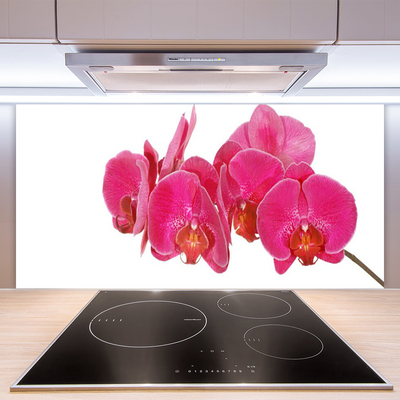 Kuchyňský skleněný panel Květiny Rostlina