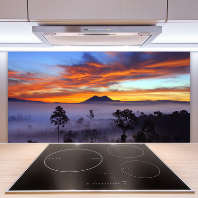 Kuchyňský skleněný panel Stromy Mlha Krajina