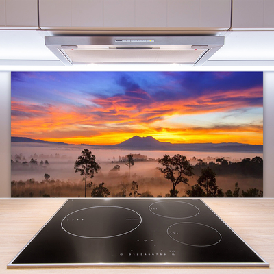 Kuchyňský skleněný panel Stromy Mlha Krajina