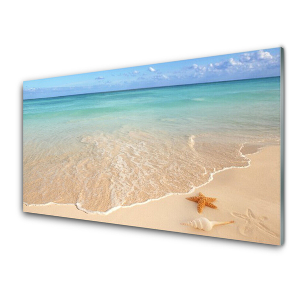 Kuchyňský skleněný panel Pláž Hvězdice Krajina
