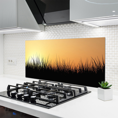 Kuchyňský skleněný panel Plevel Příroda Rostlina