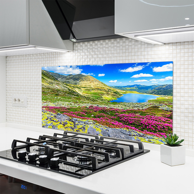Kuchyňský skleněný panel Hora Záliv Louka Příroda