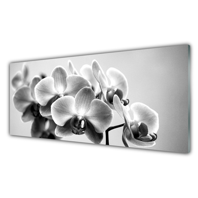 Kuchyňský skleněný panel Květiny Rostlina Příroda
