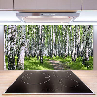 Kuchyňský skleněný panel Les Stezka Příroda