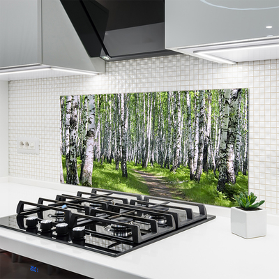 Kuchyňský skleněný panel Les Stezka Příroda
