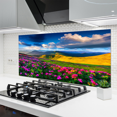 Kuchyňský skleněný panel Louka Květiny Příroda