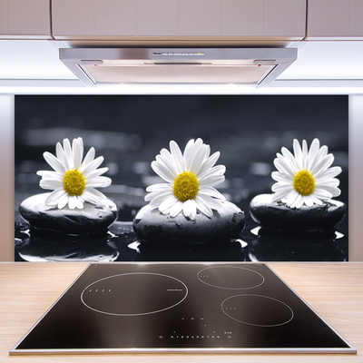 Kuchyňský skleněný panel Sedmikráska Kameny Rostlina