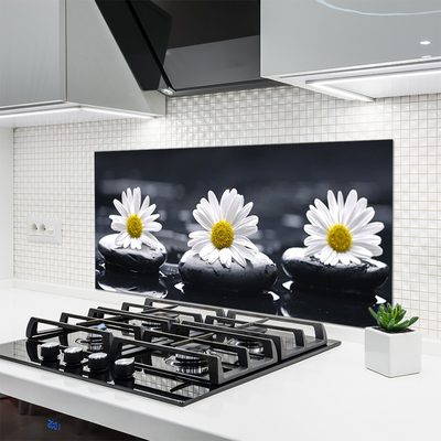 Kuchyňský skleněný panel Sedmikráska Kameny Rostlina