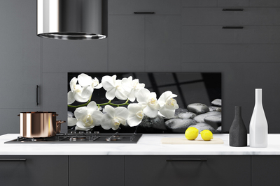 Kuchyňský skleněný panel Květ Kameny Rostlina