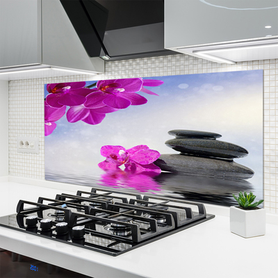 Kuchyňský skleněný panel Květiny Kameny Rostlina