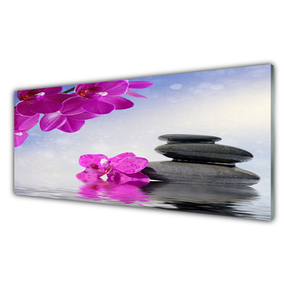 Kuchyňský skleněný panel Květiny Kameny Rostlina