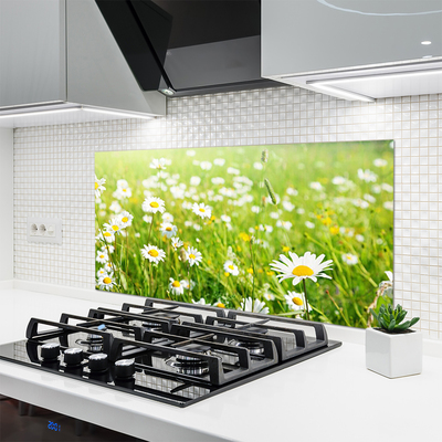 Kuchyňský skleněný panel Louka Sedmikrásky Příroda