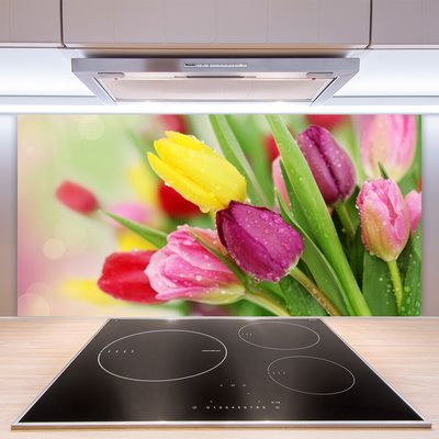 Kuchyňský skleněný panel Tulipány Květiny Rostlina