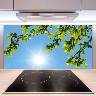 Kuchyňský skleněný panel Slunce Příroda
