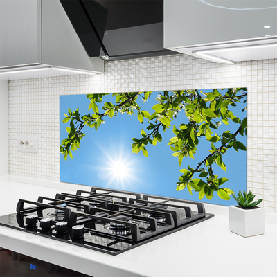 Kuchyňský skleněný panel Slunce Příroda