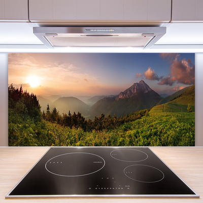 Kuchyňský skleněný panel Hora Les Příroda