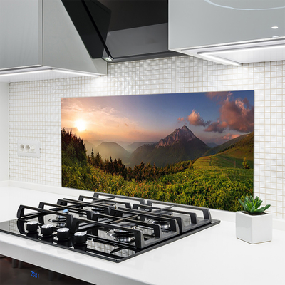 Kuchyňský skleněný panel Hora Les Příroda