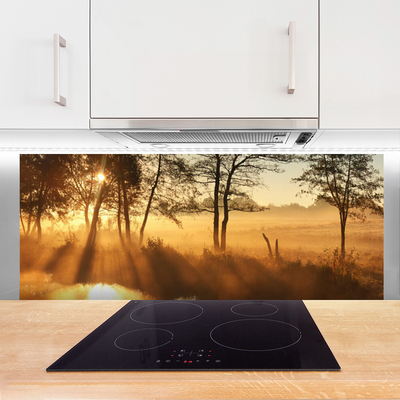 Kuchyňský skleněný panel Stromy Příroda