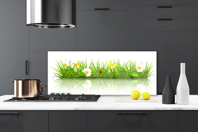 Kuchyňský skleněný panel Tráva Příroda Rostlina