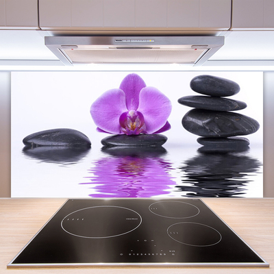 Kuchyňský skleněný panel Květ Kameny Umění