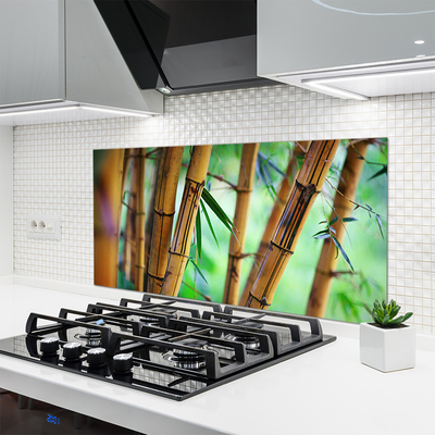 Kuchyňský skleněný panel Bambus Příroda Rostlina