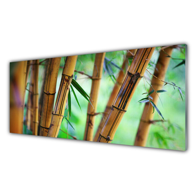 Kuchyňský skleněný panel Bambus Příroda Rostlina
