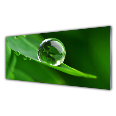 Kuchyňský skleněný panel List Voda Kapka Rostlina