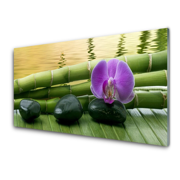 Kuchyňský skleněný panel Květ Kameny Bambus Příroda