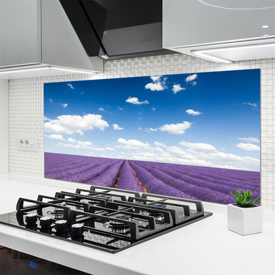 Kuchyňský skleněný panel Louka Květiny Příroda Rostlina