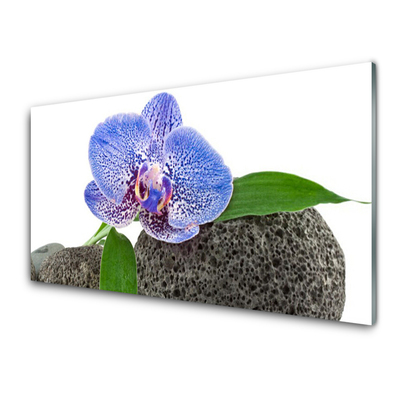 Kuchyňský skleněný panel Květ Rostlina Příroda