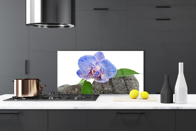 Kuchyňský skleněný panel Květ Rostlina Příroda