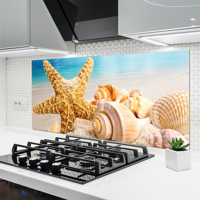 Kuchyňský skleněný panel Hvězdice Mušle Umění