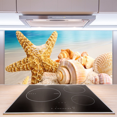Kuchyňský skleněný panel Hvězdice Mušle Umění