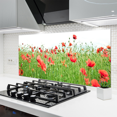 Kuchyňský skleněný panel Máky Rostlina Příroda