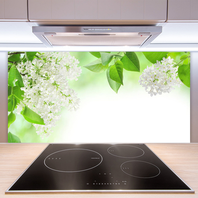 Kuchyňský skleněný panel Plátky Rostlina Příroda