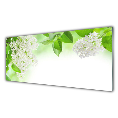 Kuchyňský skleněný panel Plátky Rostlina Příroda