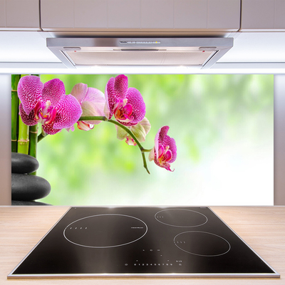 Kuchyňský skleněný panel Květ Kameny Rostlina