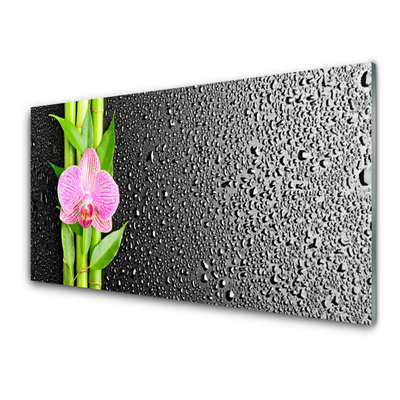 Kuchyňský skleněný panel Bambus Stonke Květ Rostlina