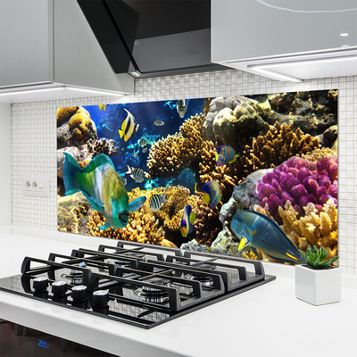Kuchyňský skleněný panel Korálový Útes Příroda