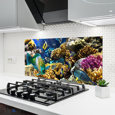Kuchyňský skleněný panel Korálový Útes Příroda